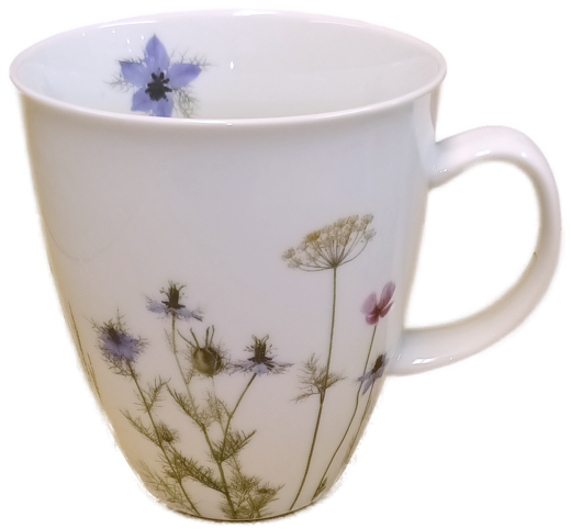 Nigella Nigella