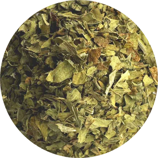 Liebstöckel