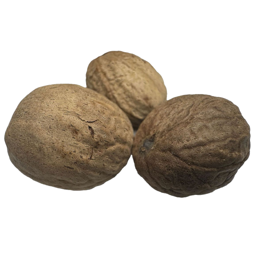Muskatnuss Muskatnuss