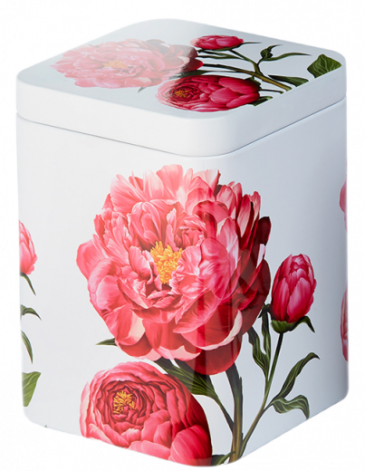 Peonia Teedose mit Plug-in-Deckel