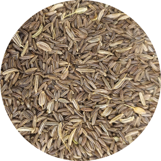 Kümmel Kümmel