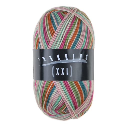 Trekking XXL 4fach color 831