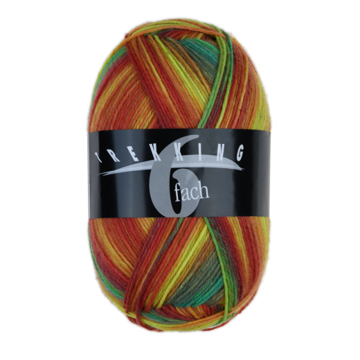 Trekking 6fach color 2006