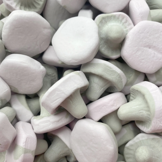 Viola Lakritz-Pilze Viola Lakritz-Pilze