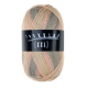 Trekking XXL 4fach color 836