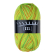 Trekking XXL 4fach color 839