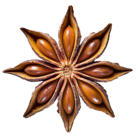Sternanis Sternanis