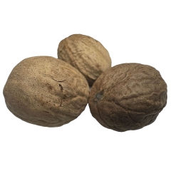 Muskatnuss Muskatnuss