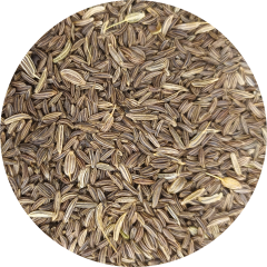 Kümmel