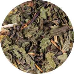 Marrakesh Nights Marrakesh Nights